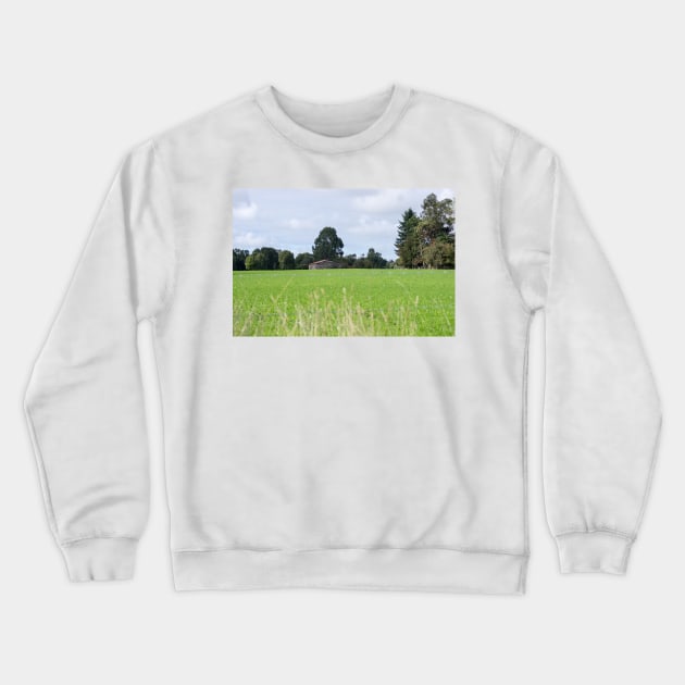 83115 cabin Crewneck Sweatshirt by pcfyi